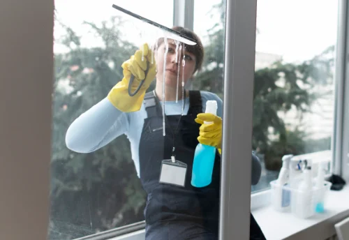 Nettoyage de vitres intérieures et extérieures à Peyrabout